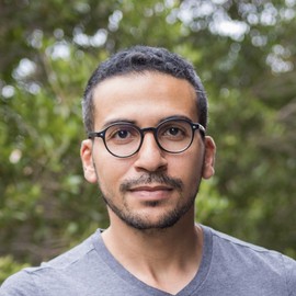 Mohamed Sarwat